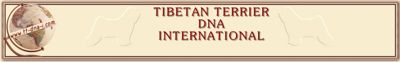 DNA International